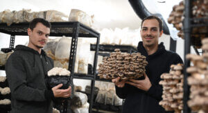 Auf diesem Bild sieht man Philipp Maitz und Daniel Kirnbauer wie sie Pilze in der Hand halten und dabei lächeln.