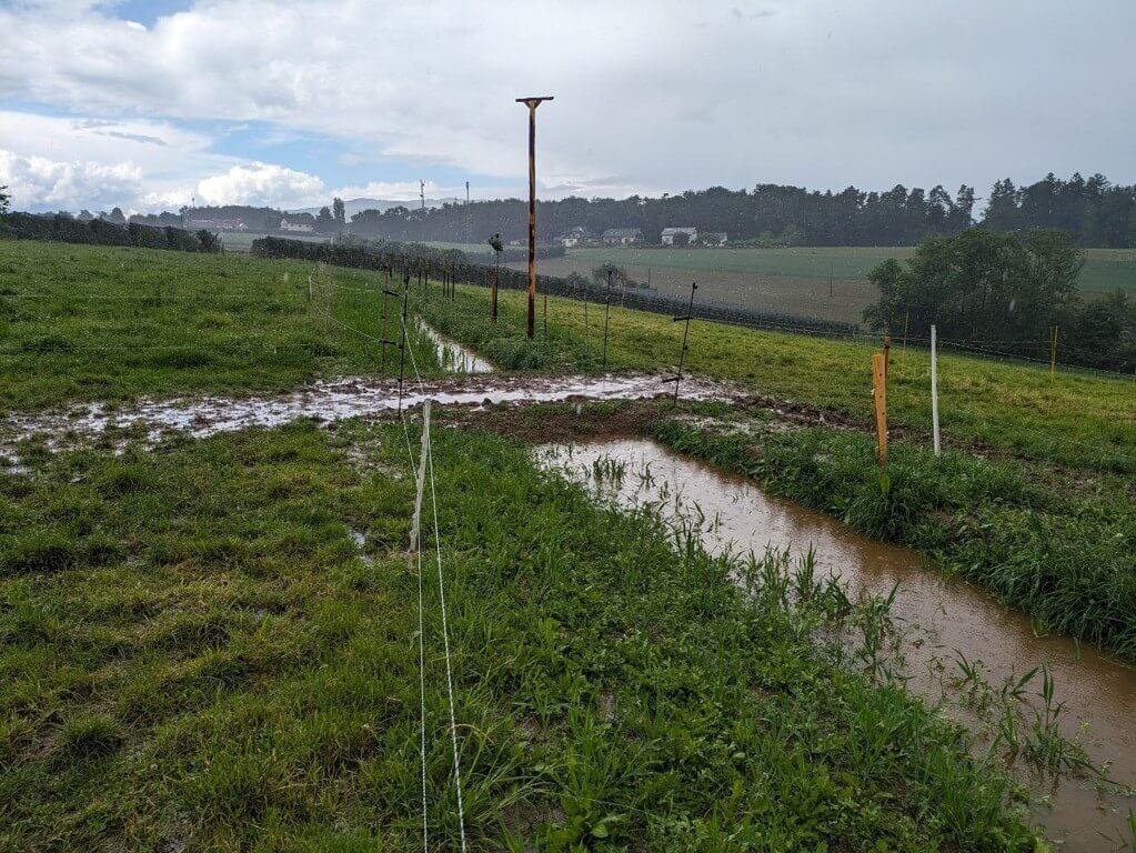 Eine grüne Weide ist teilweise durch Regenwasser überflutet, wodurch ein schlammiger Pfad und ein Bach entstehen, der sich durch das Gras zieht. Holzpfosten mit Elektrozäunen teilen das Feld. Im Hintergrund erstreckt sich die Landschaft mit sanften Hügeln, vereinzelten Bäumen und einigen entfernten Gebäuden unter einem wolkigen Himmel mit blauen Stellen. Die Atmosphäre deutet auf kürzlichen Regen hin.